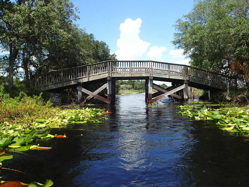 Wooden bridge by Greg Hammack