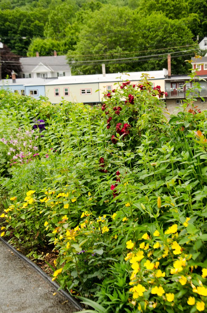 Bridge Flowers, 18 Water Street, Shelburne Falls, MA 01370, USA by davidpinter