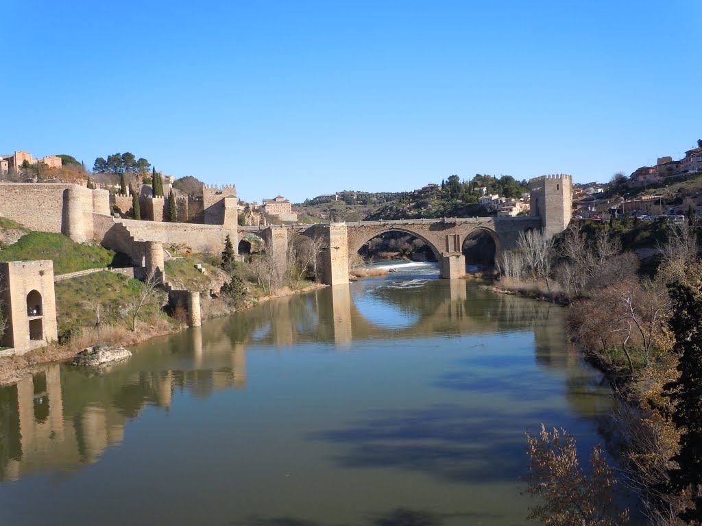 Puente de San Martín by GMonroy