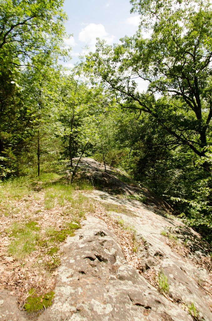 Poet's Seat, Greenfield, Massachusetts 01301, USA by davidpinter