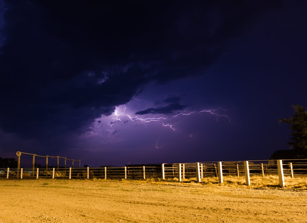 Midnight on the Farm by Devan Mayer