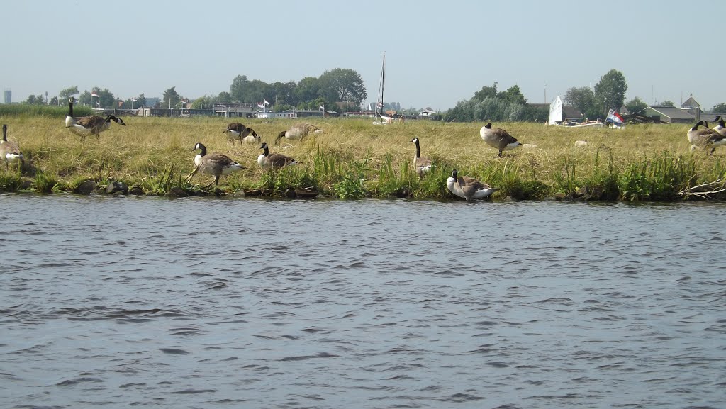 Warmond, Netherlands by Iris & Harry