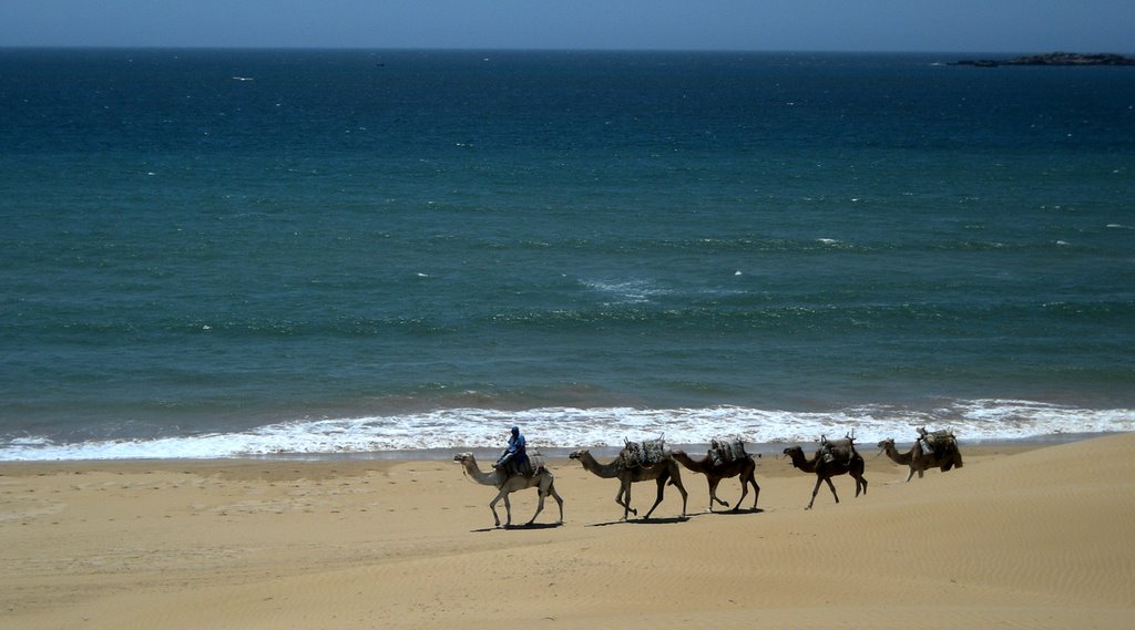 Plage d' Essaouira by niki29er