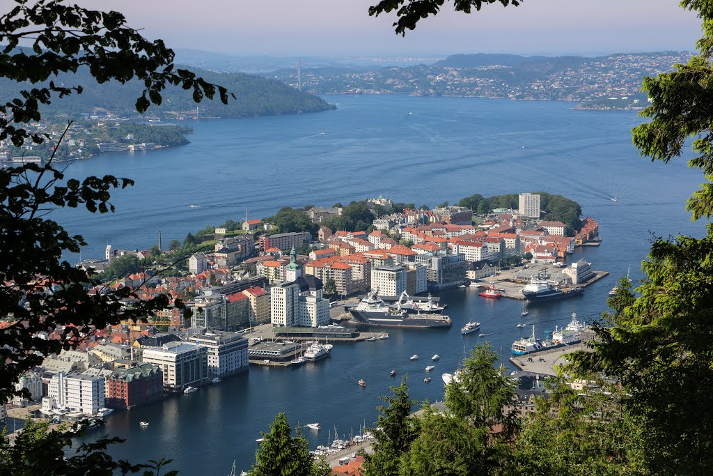 Bergen in Summer by Truman Ha