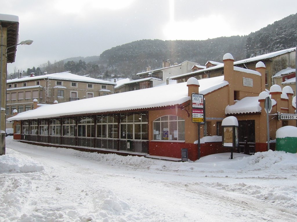 MERCADO MUNICIPAL NEVADO by manuel ranedo