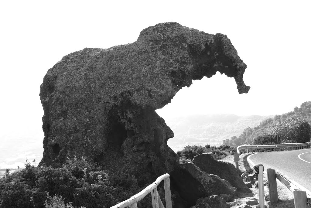 Castelsardo - Roccia dell'Elefante by Gianluca Cingotti