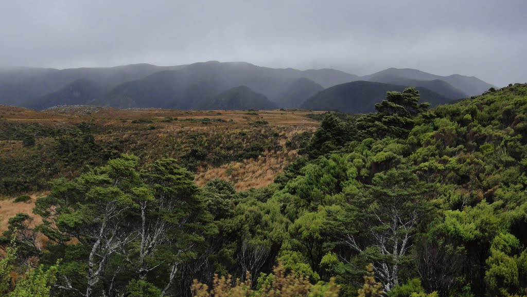 Heaphy Track by maurice weststrate