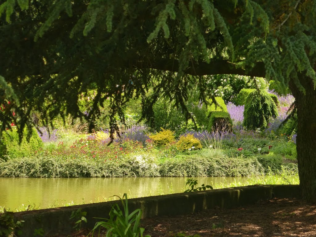 Botanischer Garten by Reiterin76