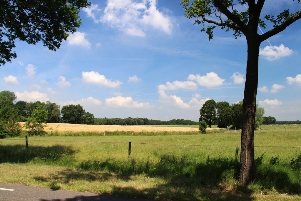 Nispen - Heijbeeksestraat by John Scholte