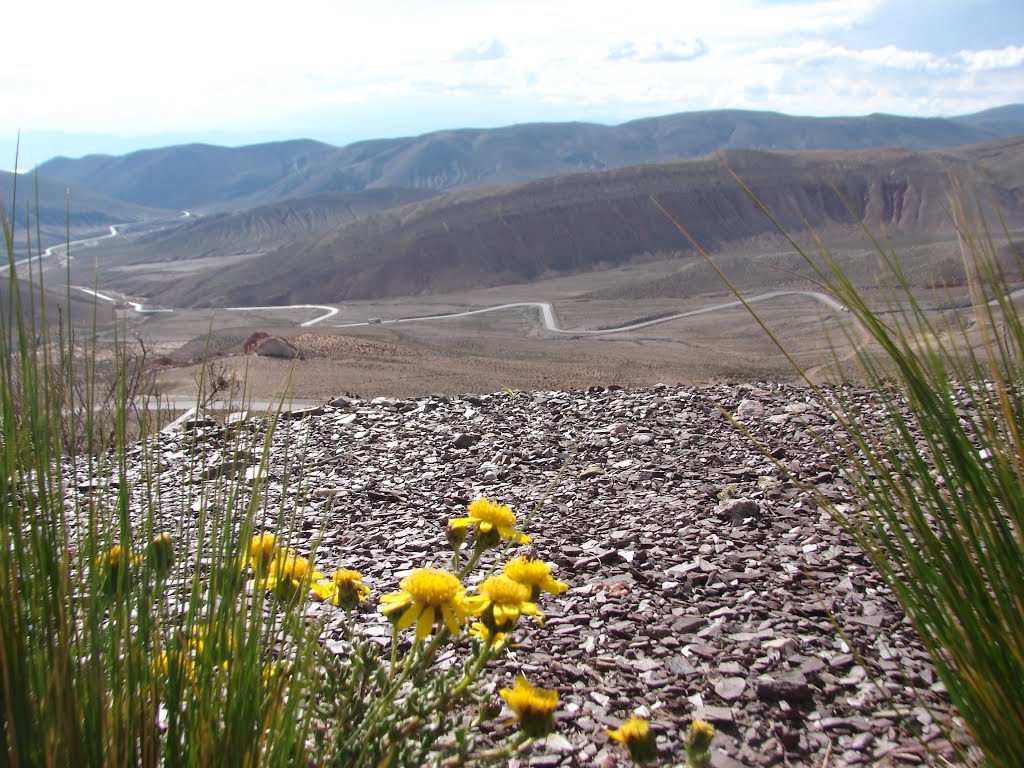 Curvas - Ruta 52 - Jujuy - Argentina - #dm by dalcio e marilda ber…