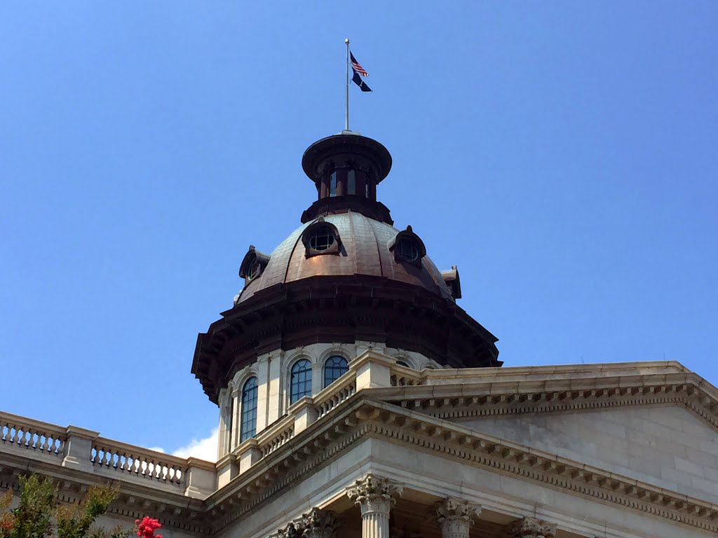 State House Dome by REID PRICE