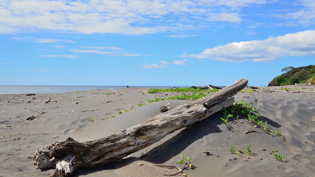 Playa Azul, Santa Cruz by latforum