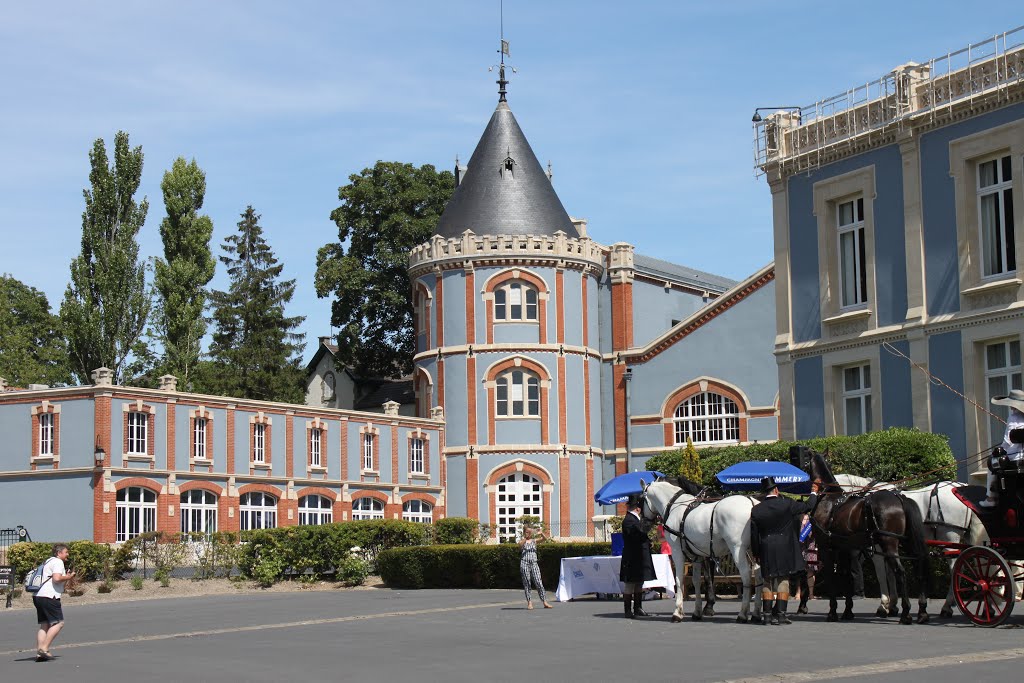 Reims - Château Pommery by Michel Viard