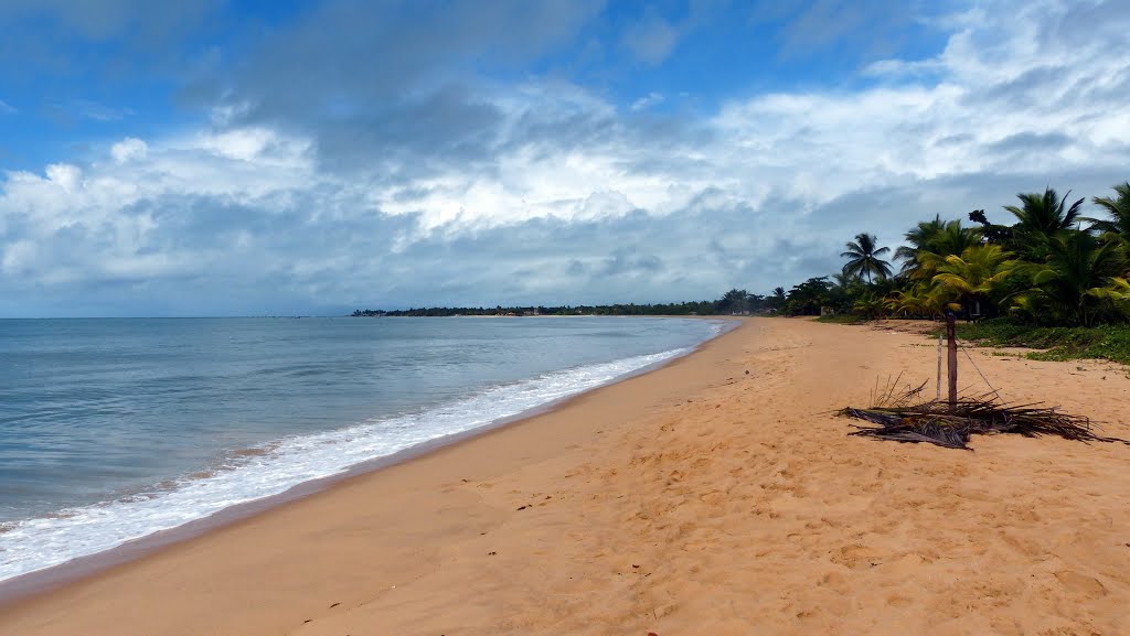 Praia Coroa Vermelha - Santa Cruz Cabrália BA by Richard Eric Stubing