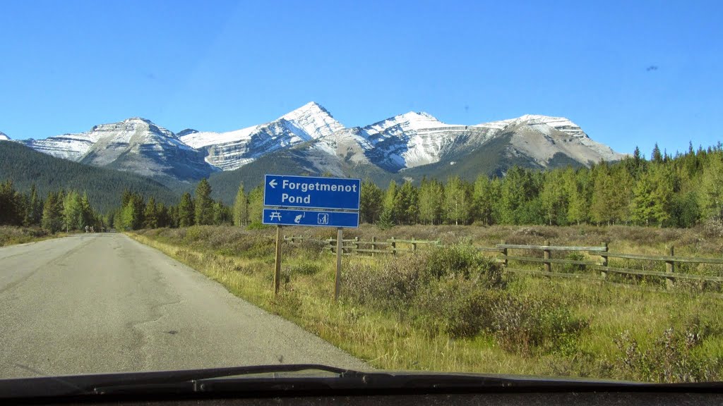 Kananaskis, AB T0L, Canada by skirtend3