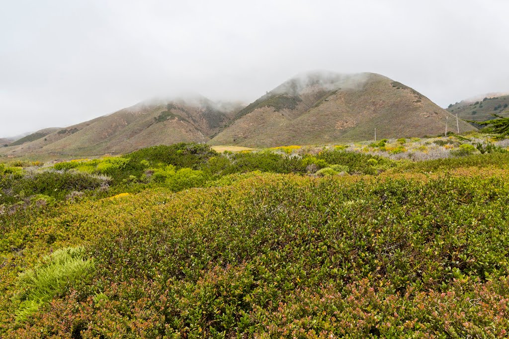 Garrapata State Park - Carmel, CA, USA by Sunny Wu