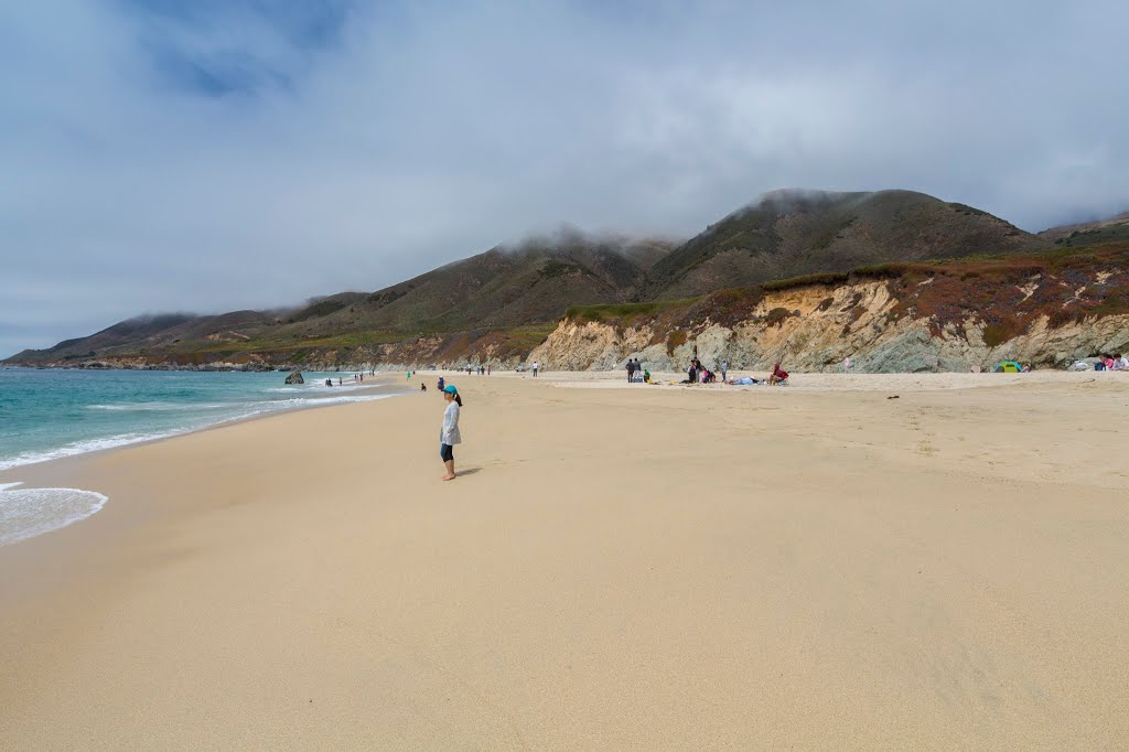 Garrapata State Park (Garrapata Beach) - Carmel, CA, USA by Sunny Wu