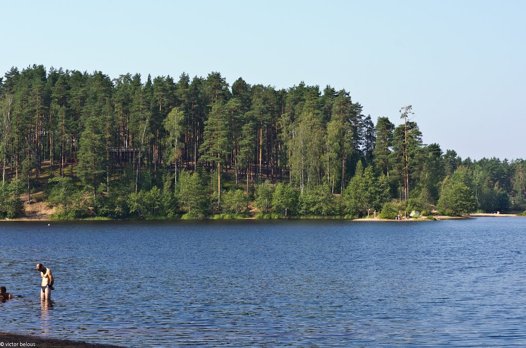 Vyborgsky District, Leningrad Oblast, Russia by Виктор Белоус