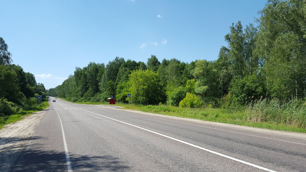 Orekhovo-Zuyevsky District, Moscow Oblast, Russia by Александр Юхименко