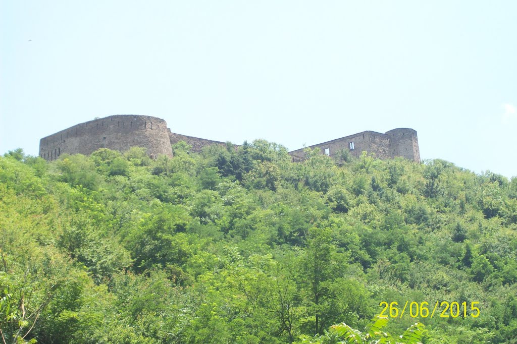 Old Fort seen from Goddess Sareeka Ma Temple, Hari Parbat, Srinagar, J&K, India by Parbodh C Bali