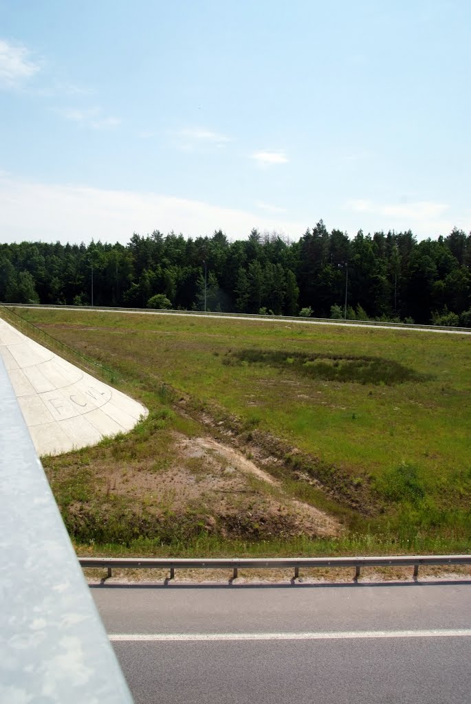 Bohuns'kyi district, Zhytomyr, Zhytomyrs'ka oblast, Ukraine by Максим Алексейчук