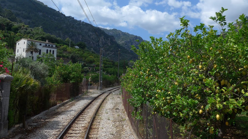 Sóller, Balearic Islands, Spain by hdherber