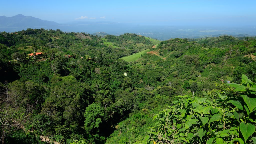 Zapote, Alajuela, San Mateo, Costa Rica by latforum