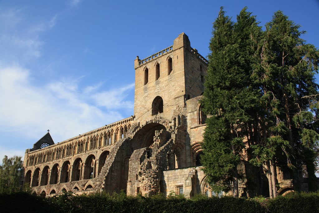 Jedburgh Abbey by Alan Neale