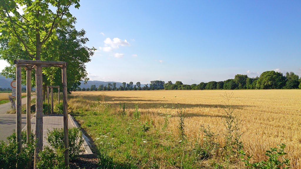 Heppenheim, Germany by kam.S