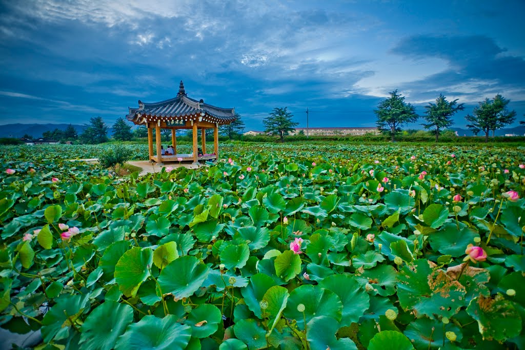 Gyeongju by Staszek Urbaniak