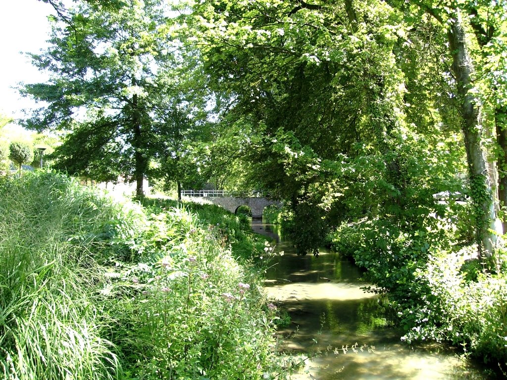 Schlossgraben im Sommer by GeoEm