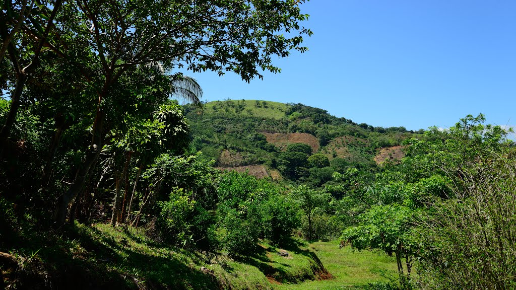 Alajuela, San Ramón, Costa Rica by latforum