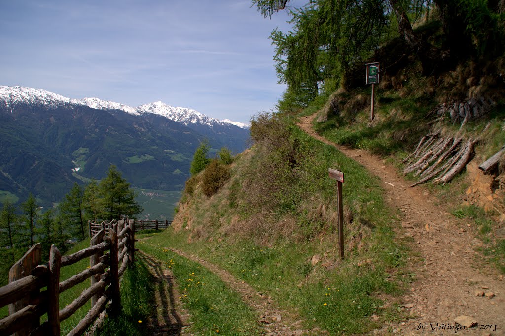 Meraner Höhenweg - jetzt beginnt der schwere Teil by Veitinger Germany