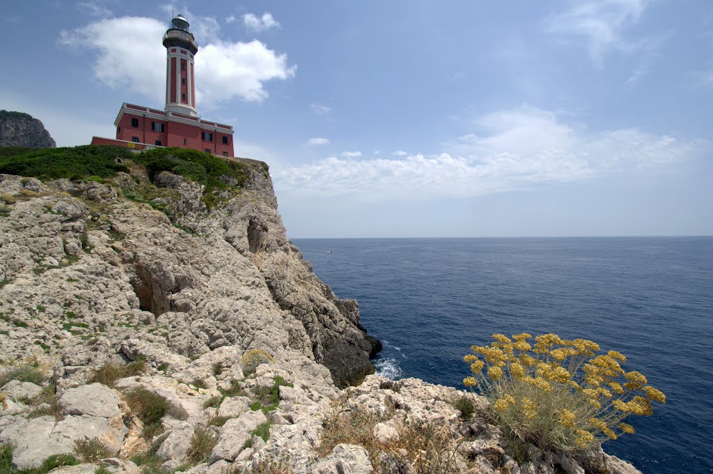 Gli elicrisi ed il faro di Punta Carena by Angela Rozzoni