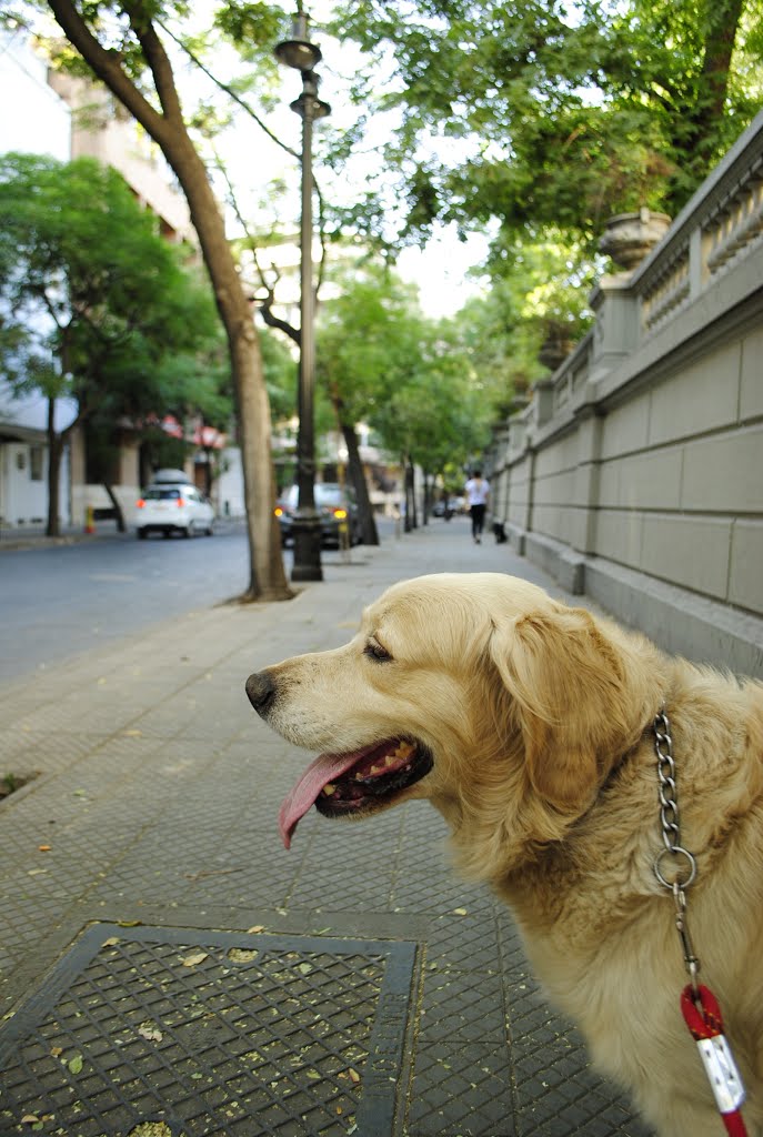 Rusty EEUU Barrio Lastarria by Hector Ordoñez