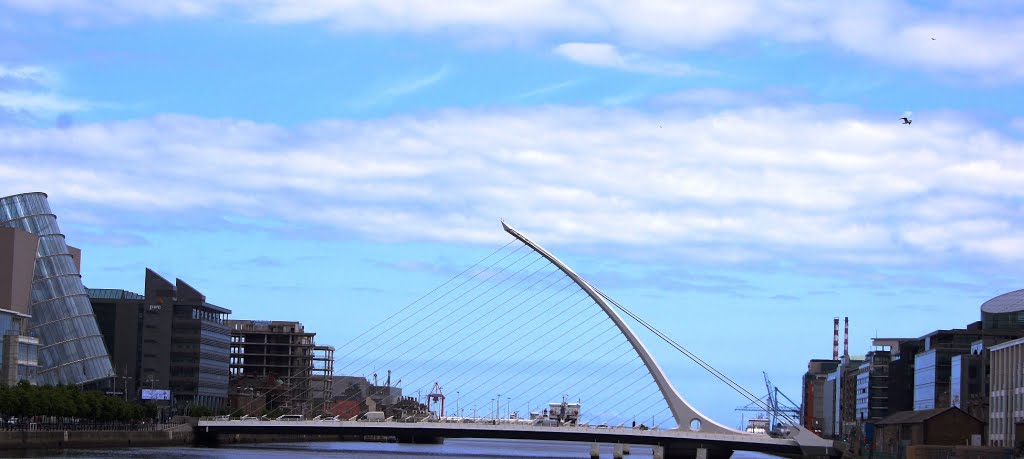 Samuel Beckett Bridge by lydia-anneliese