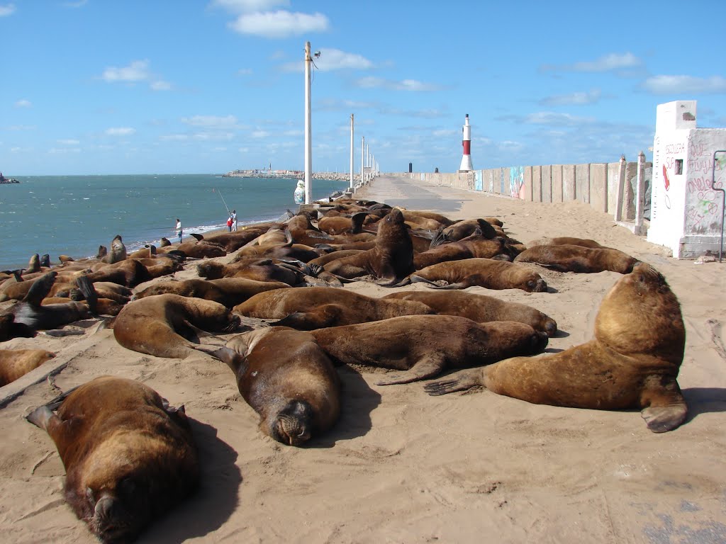 Passarela interditada - NECOCHEA - Argentina - #dm by dalcio e marilda ber…