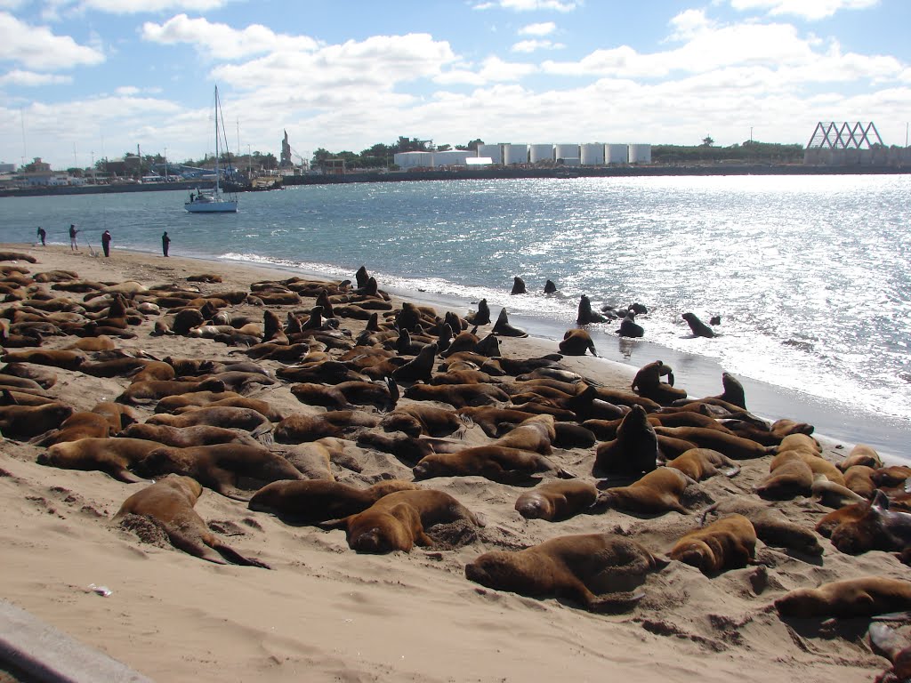 Entrada do porto - NECOCHEA - Argentina - #dm by dalcio e marilda ber…