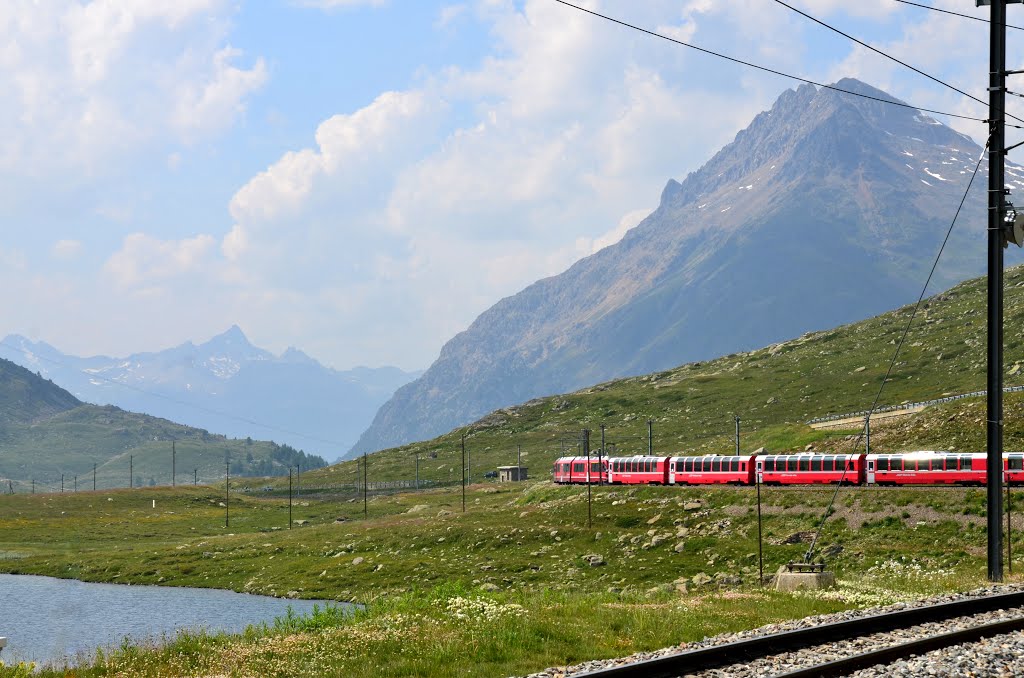 Bernina Express (i) by Elios Amati