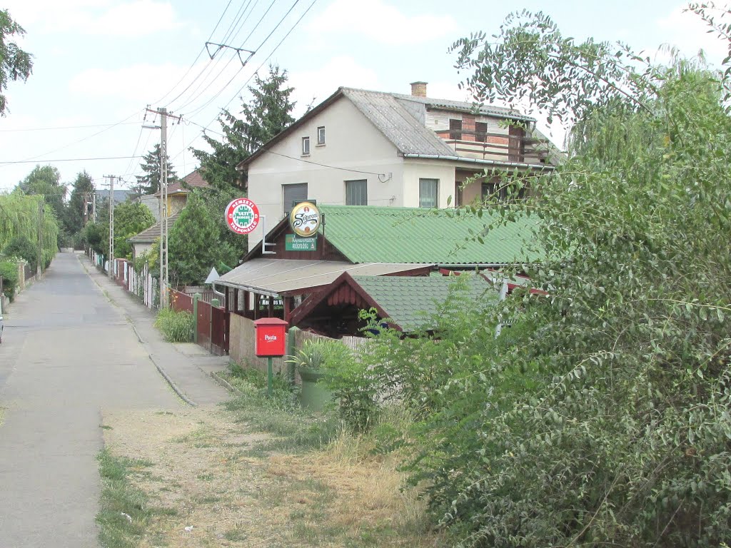 201507071439 Ecser, Bercsényi utca, a vasútállomás felől by Harmadik