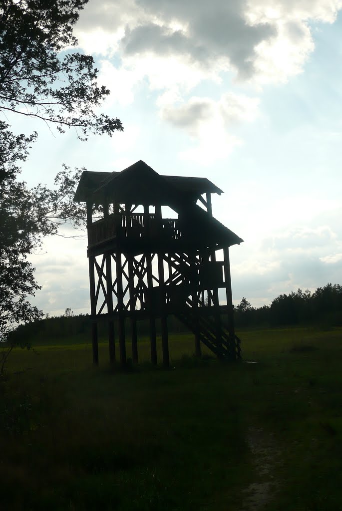 Biebrzański Park Narodowy - wieża wiodkowa by Jerry Meijer