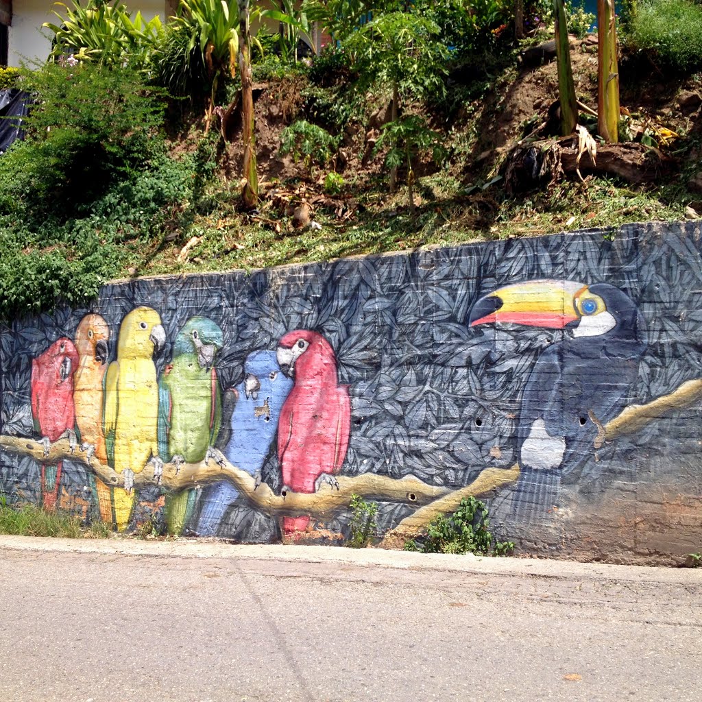 Murales Río Negro Santander by Diego Díaz