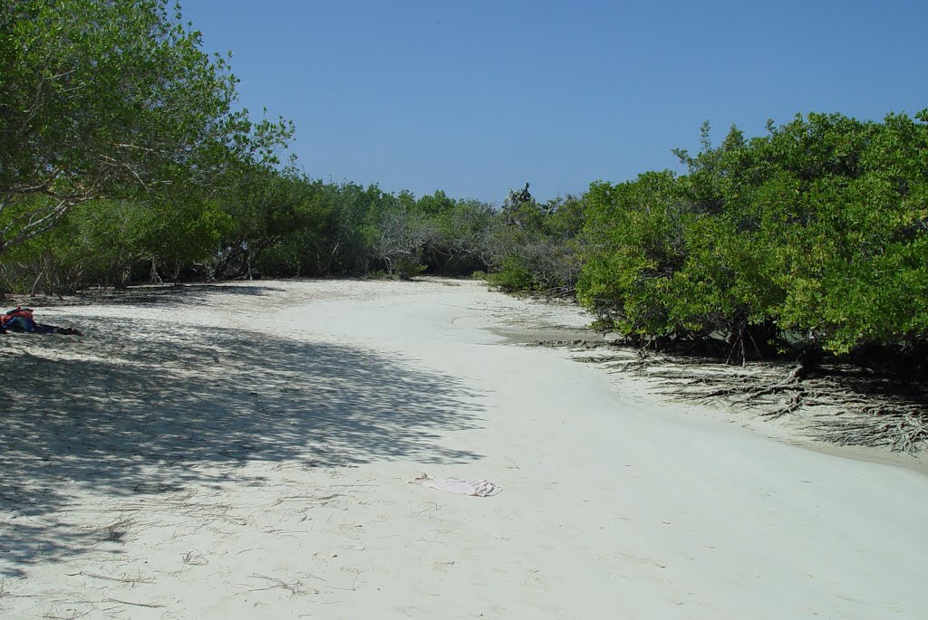 Playa Mansa, Bahia Tortuga,Galápagos, Ecuador by Alvaro Espinel