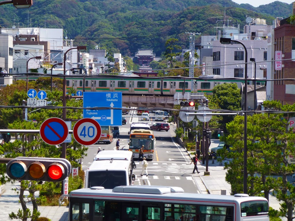 Kamakura 若宮大路 (鶴岡八幡宮へ) by beya_conger