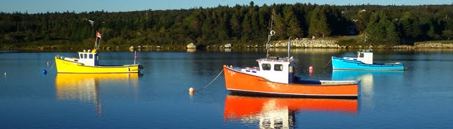 Colourful Cape Island Boats by Bullwinkle 007