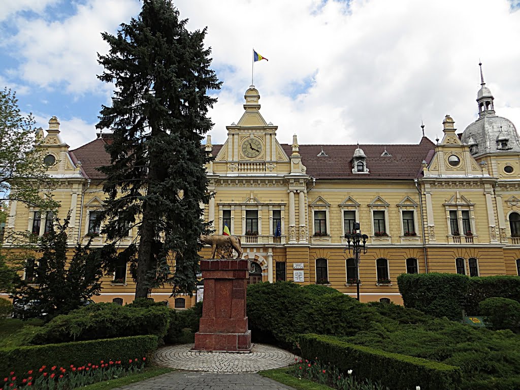 Primaria Brasov by Mister No