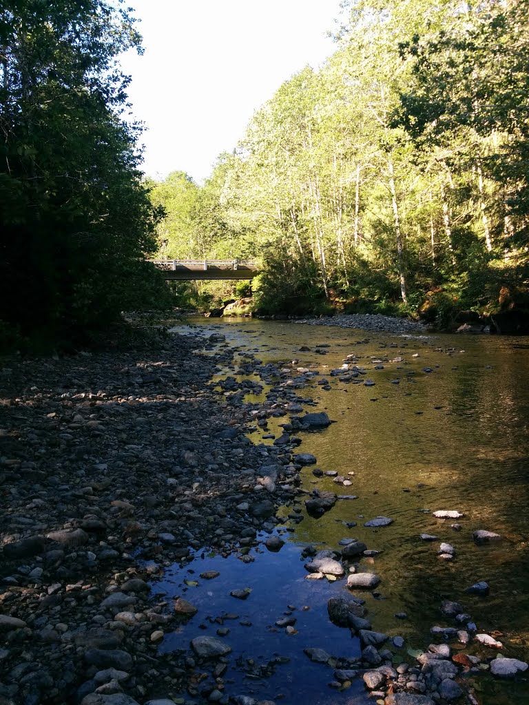 Snohomish County, WA, USA by sam spade