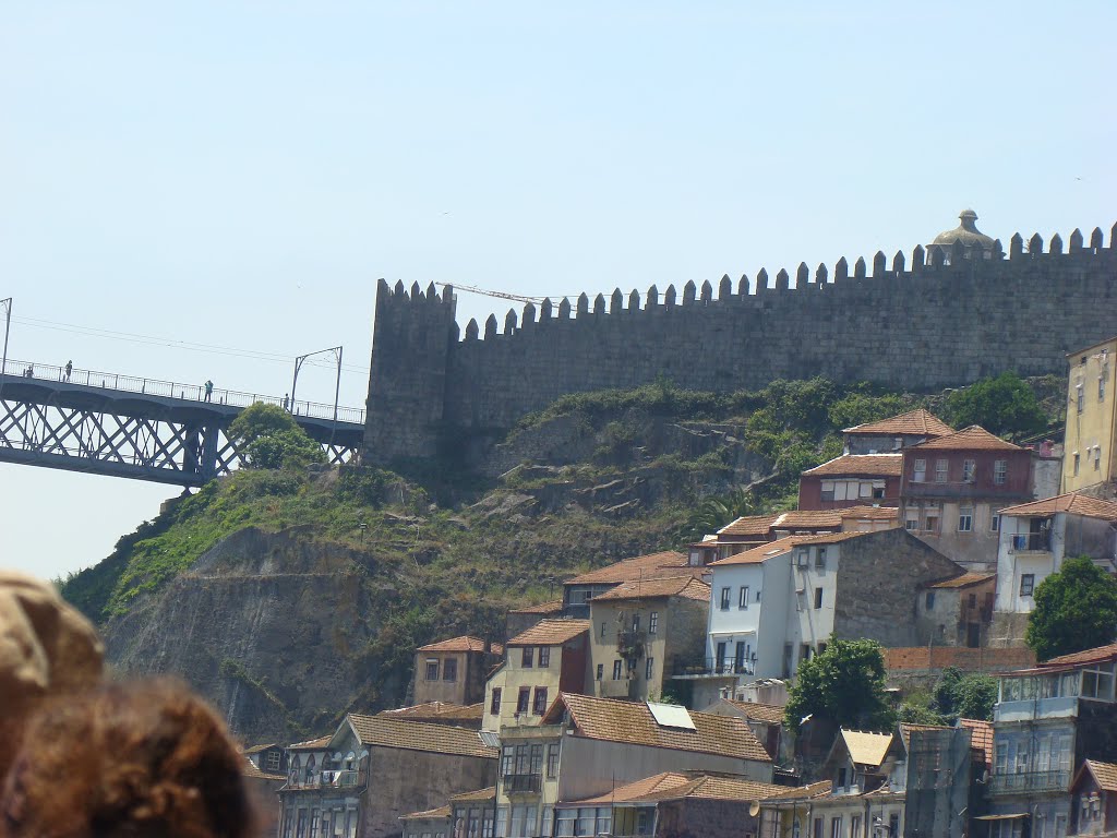 04-06-2015 Porto, croisière sur le Douro. by Frédéric FATH