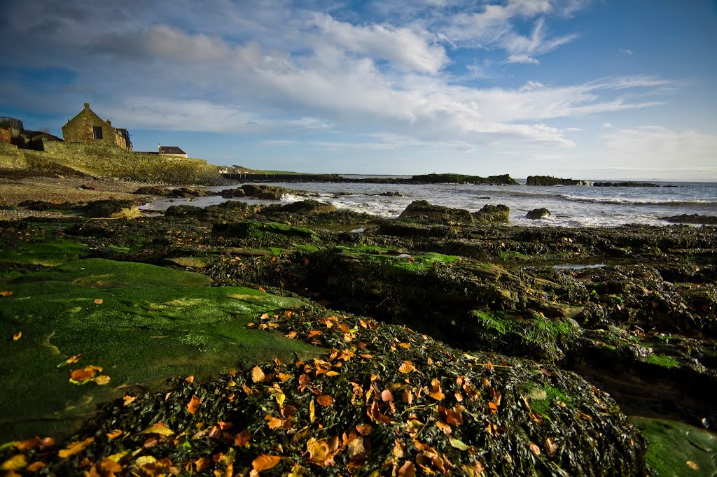 Fife, UK by Staszek Urbaniak