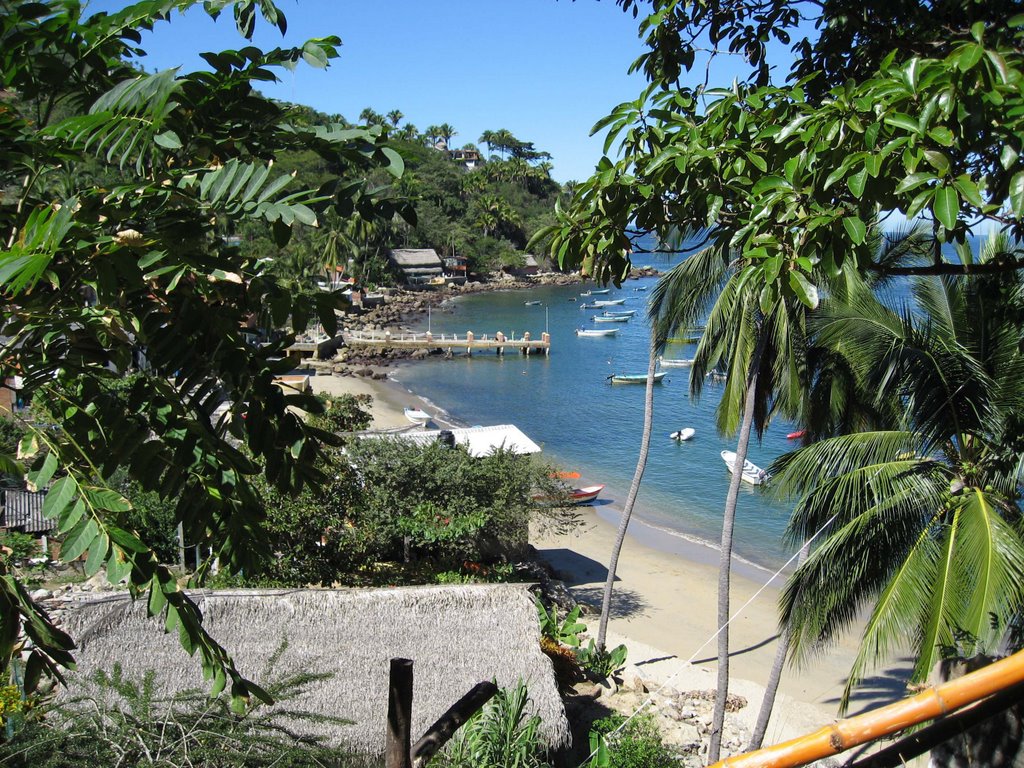 Beach at Yelapa by lynnporter